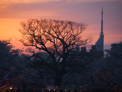 福岡タワーと夕日