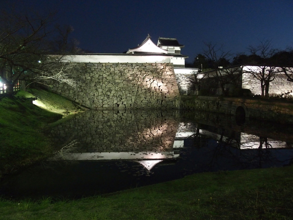 福岡城城跡夜景１