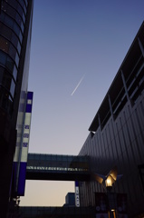 夕焼けと飛行機