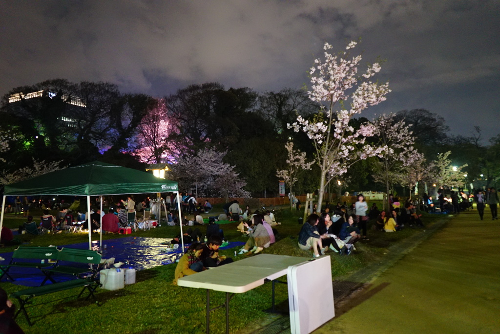 舞鶴公園　夜の部　花より団子４