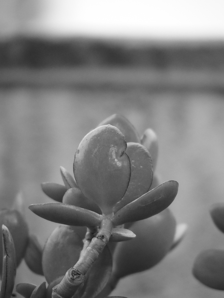 P3051297