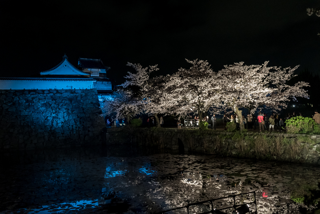 舞鶴公園　夜の部　写真６