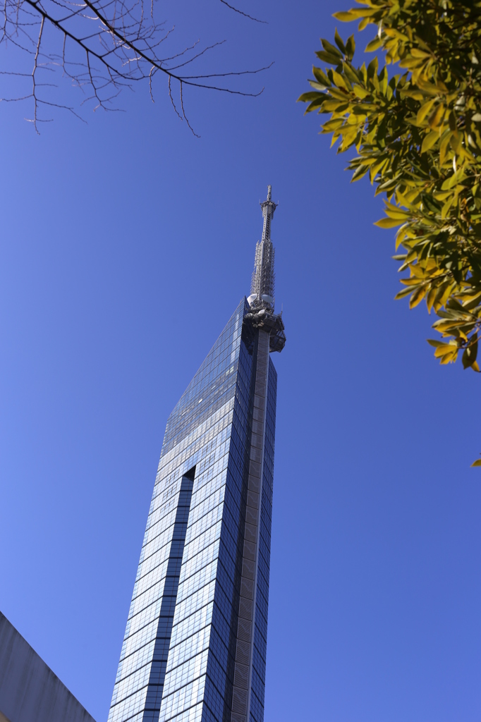 青空の福岡タワー