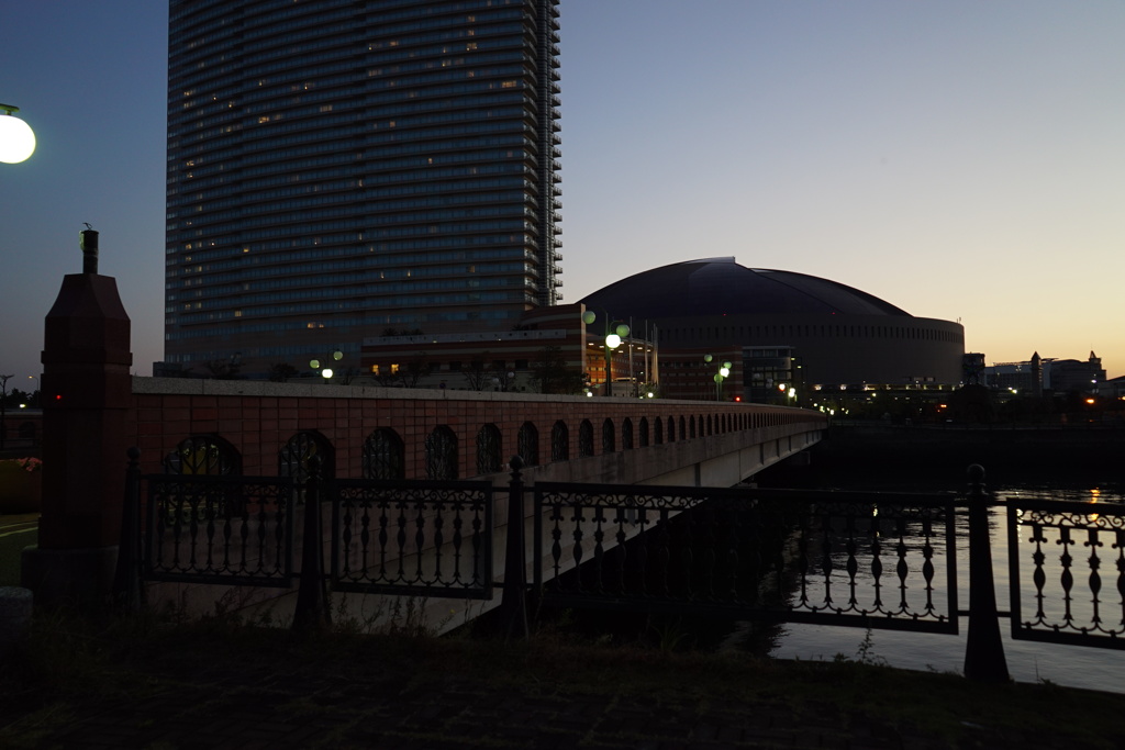 ファイナルシリーズ進出　おめでとう