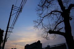 Blue sky