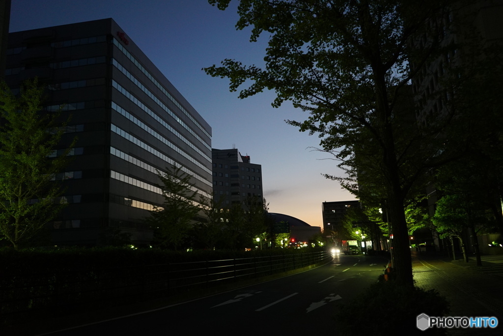 朝のウォーキング