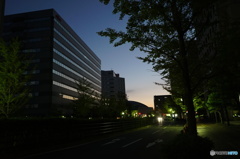 朝のウォーキング