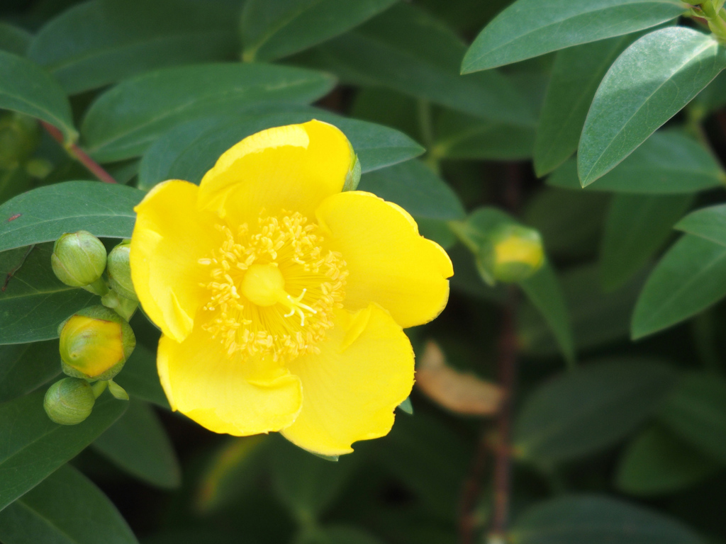 道端　花壇（３）