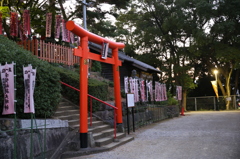 宇賀稲荷神社　鳥居