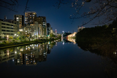 第10回　福岡城さくらまつり