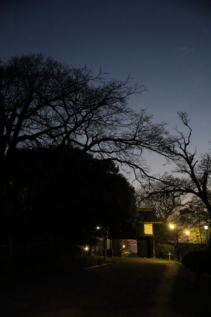 夜明け前の名島門