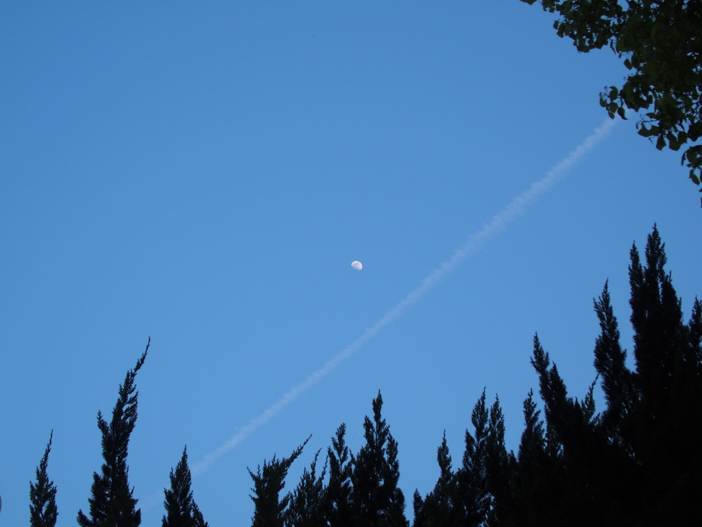 ひこうき雲と月