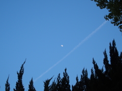 ひこうき雲と月