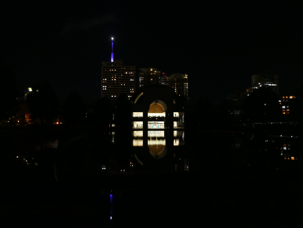 福岡市博物館　ライトダウン