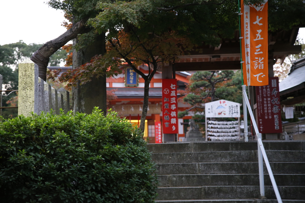 紅葉八幡宮　石段
