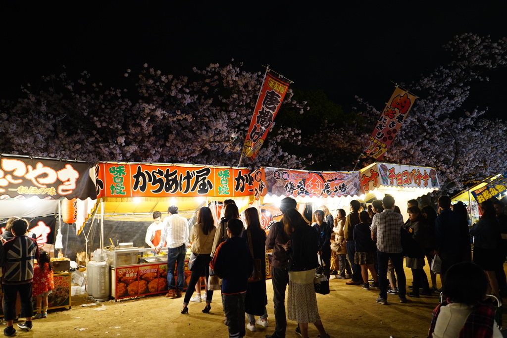 舞鶴公園　夜の部　花より団子２