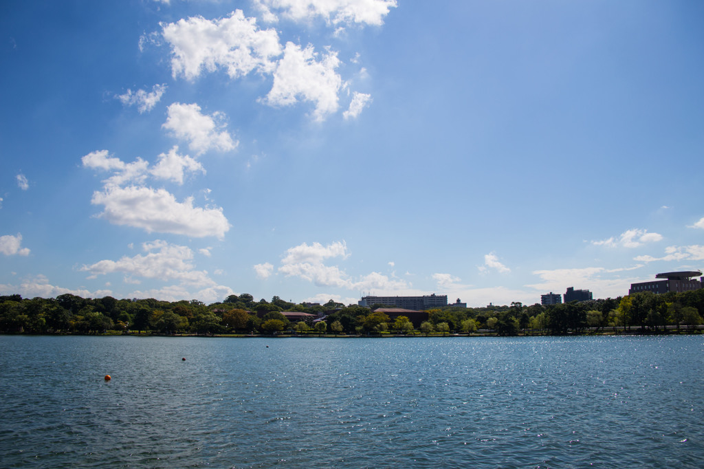 久しぶりの大濠公園（２）