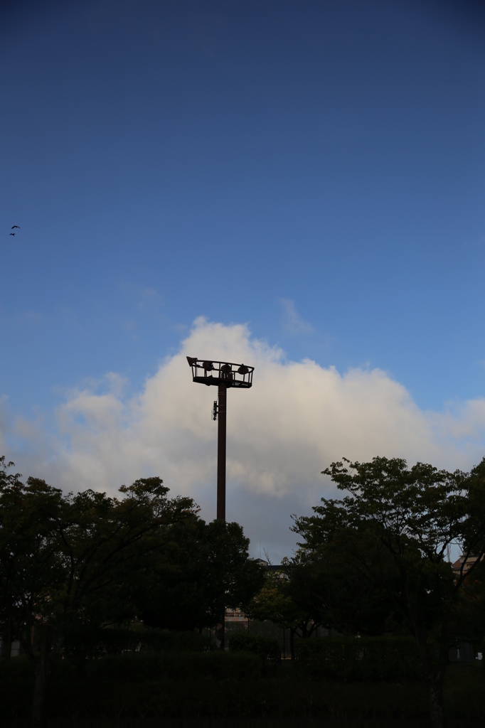 空