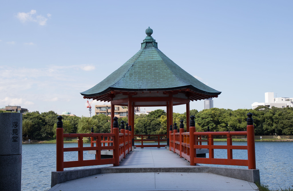 久しぶりの大濠公園（５）