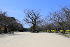 舞鶴公園広場