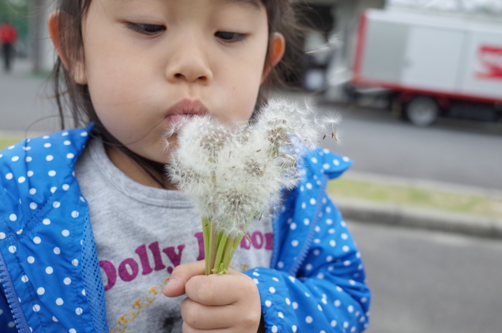 飛んでいくのが楽しくて仕方ない♪