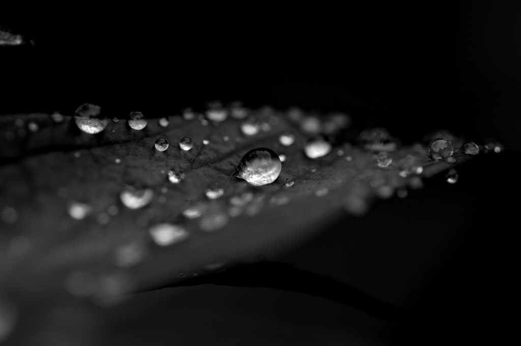 Waterdrop