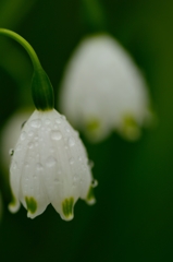 Snowflake