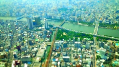 展望台より