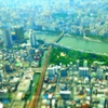 展望台より