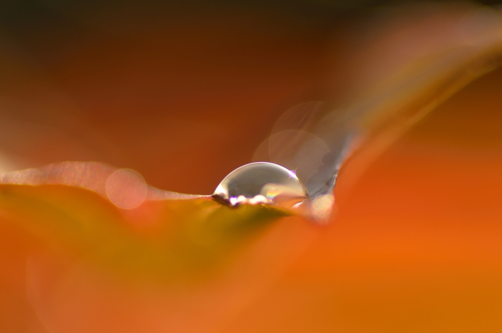 Waterdrop