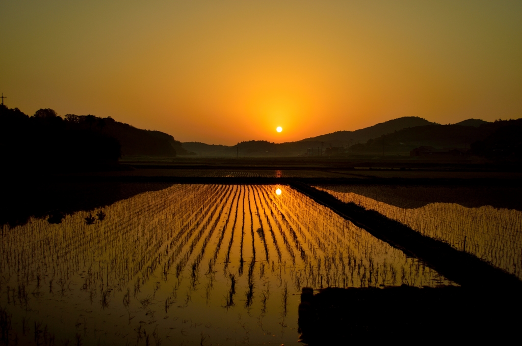 田舎の夜明け