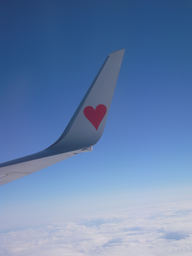 The heart wings