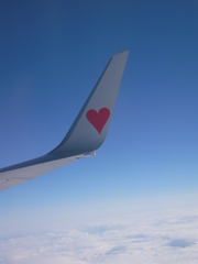 The heart wings