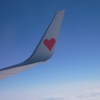 The heart wings
