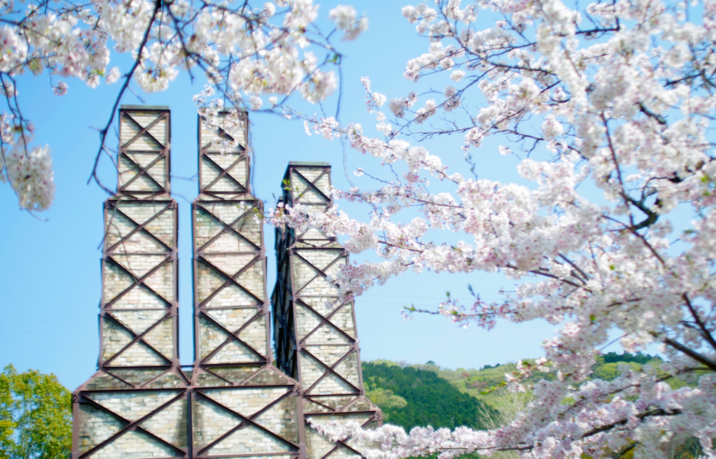 世界遺産　反射炉と桜　そのに