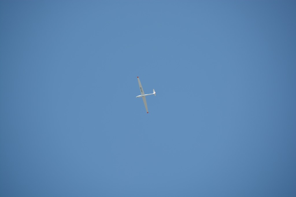 大空を優雅に舞う