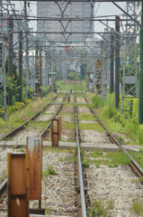 都電のある風景①