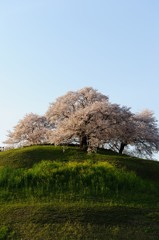 夕暮れの埼玉古墳群②