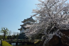 地元の桜巡り③