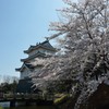 地元の桜巡り③