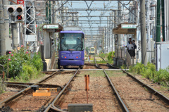都電のある風景⑨