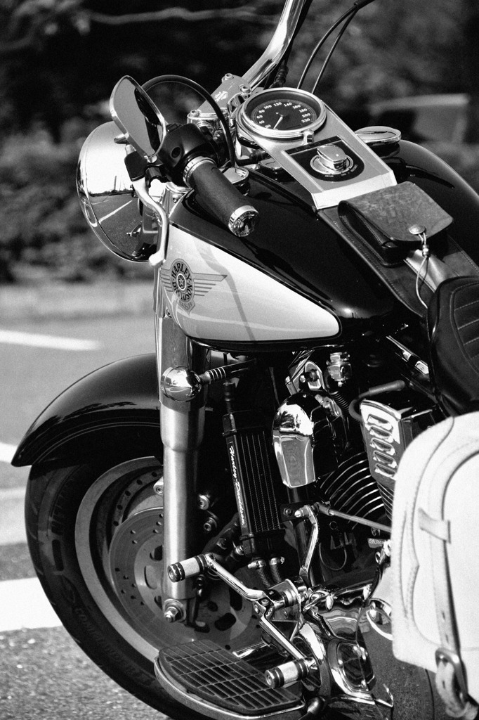 MONOCHROME EVOLUTION②
