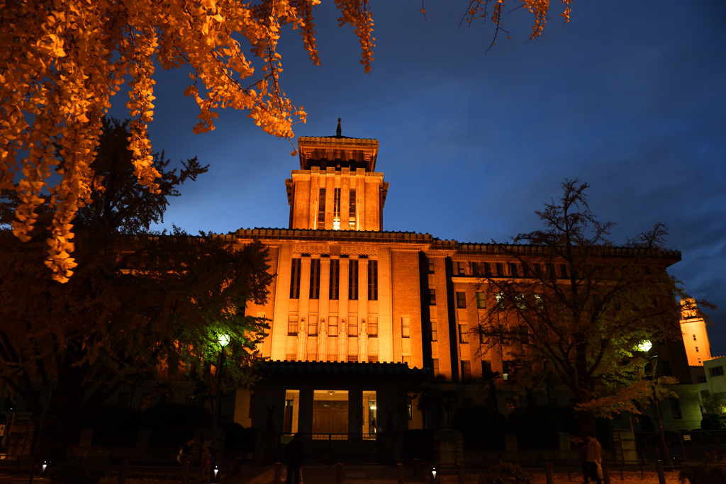 Autumn in YOKOHAMA⑦