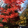 紅葉ツーリング①