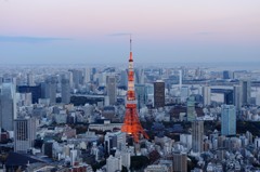 スカイデッキから見下ろす地上の星たち（蔵出し）①