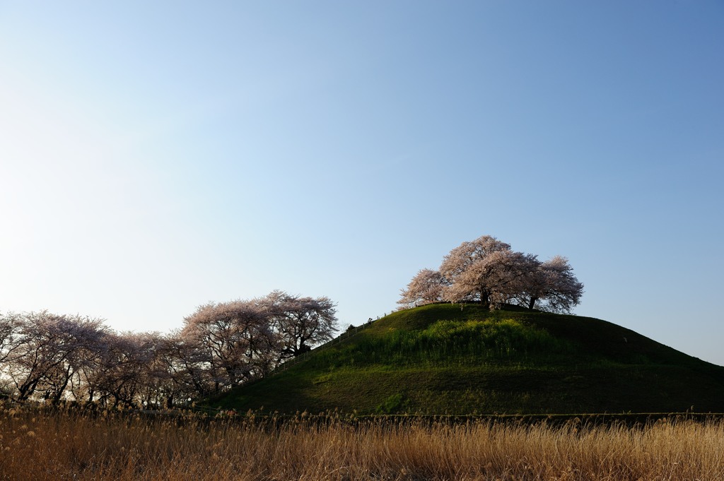 夕暮れの埼玉古墳群①