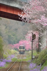 花咲くわ鉄　～神戸駅～⑤