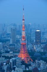 東京タワー①