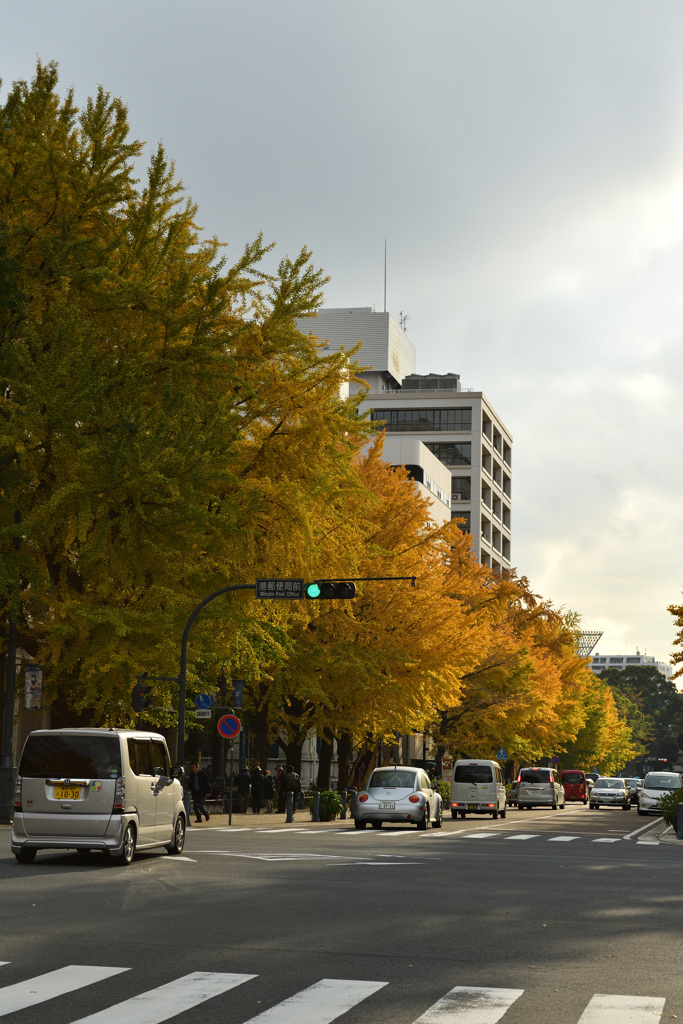 Autumn in YOKOHAMA②