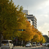 Autumn in YOKOHAMA②